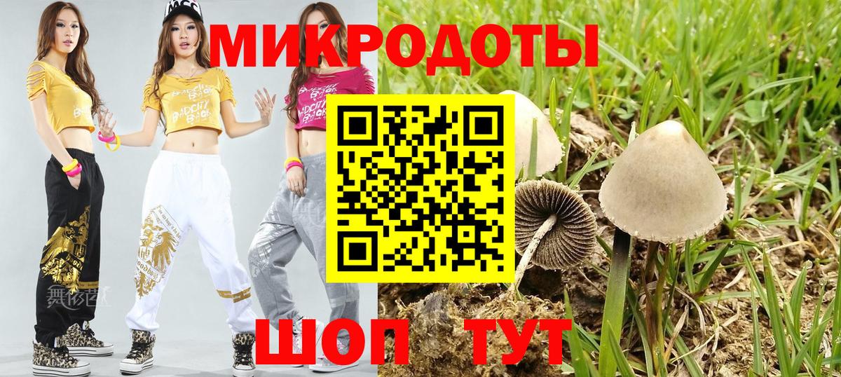 магазин  наркотиков  Псилоцибиновые грибы Magic Shrooms  Вход с VPN  Михайловка 