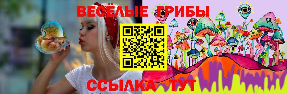Псилоцибиновые грибы ЛСД Михайловка
