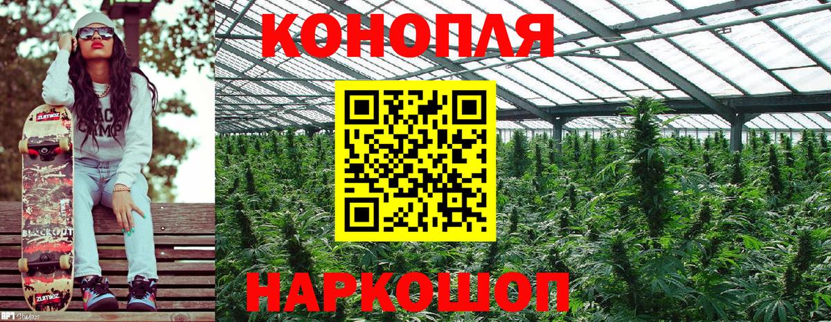 МАРИХУАНА план Михайловка